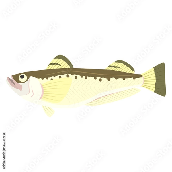 Fototapeta はたはたのイラスト