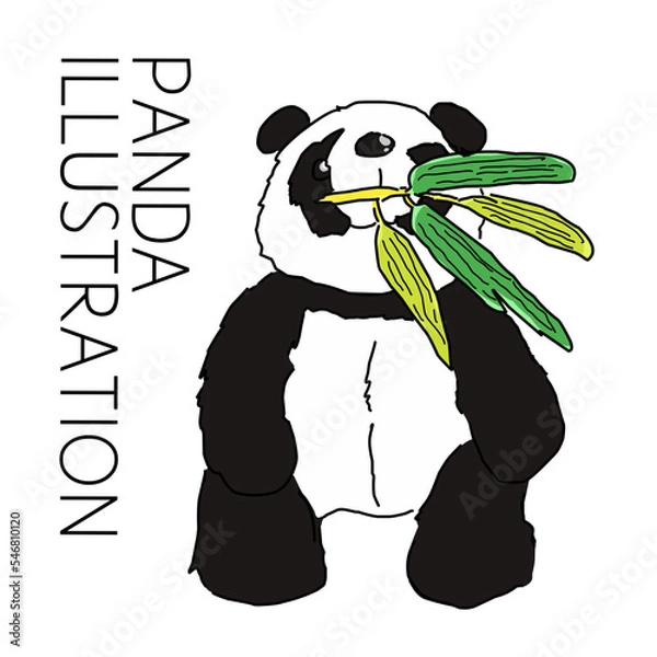 Obraz panda eating bamboo isolated vector illustration