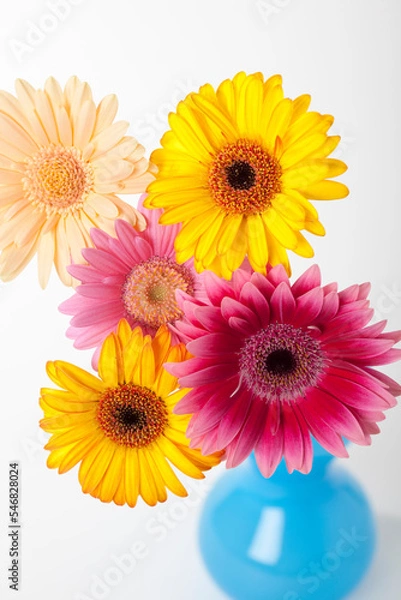 Fototapeta ガーベラの花 カラフルな花束 花房