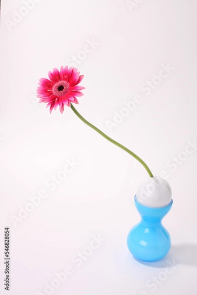 Fototapeta 赤いガーベラの花 一輪挿し 花房