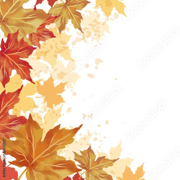 Fototapeta Autumn leaf fall frame. Colorful maple leaves with watercolor  background