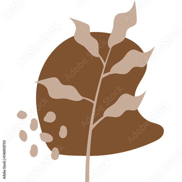 Fototapeta Boho Leaf