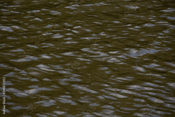 Obraz water texture