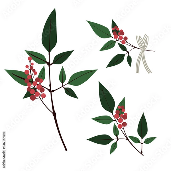 Obraz 南天のイラストセット