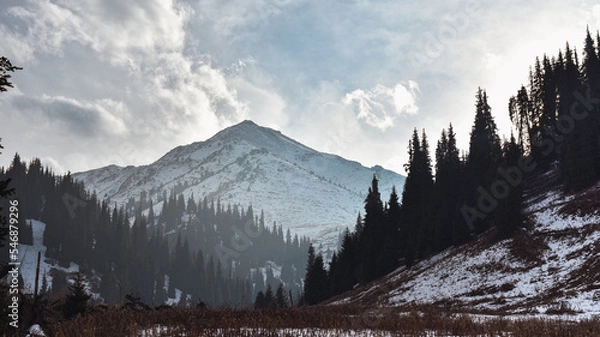 Obraz snowy mountains landscape