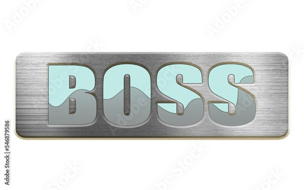 Fototapeta boss door

