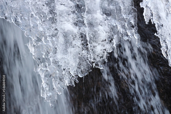 Obraz 雪解けを待つ