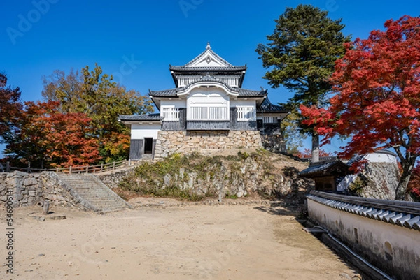 Fototapeta 備中松山城