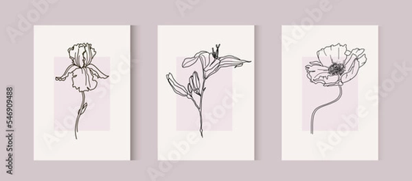 Fototapeta Botanical wall art. Line flowers for Print. Iris, poppy and lily hand drawn set. Vector Minimal and natural wall art.