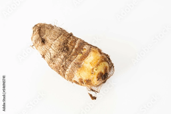 Fototapeta 白い背景のさといも