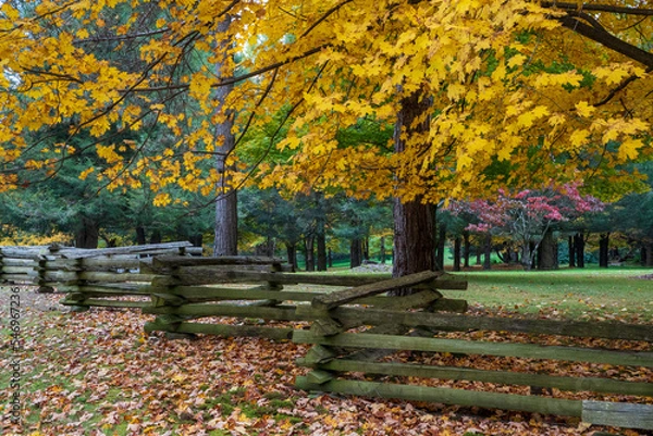 Obraz split rail fence autumn trees