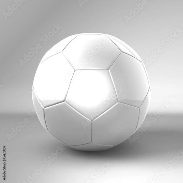 Obraz fussball weiß