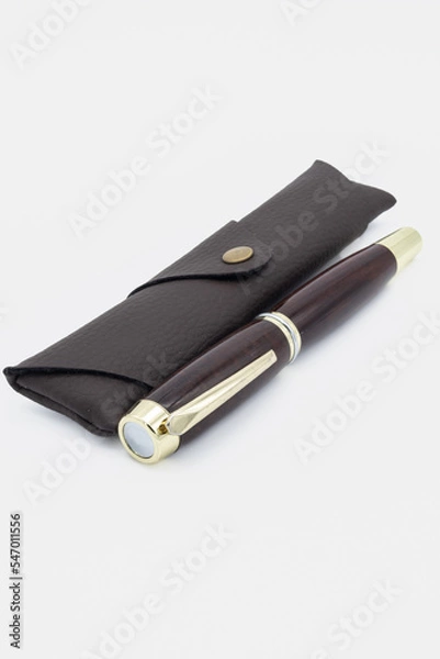 Obraz Pen and case