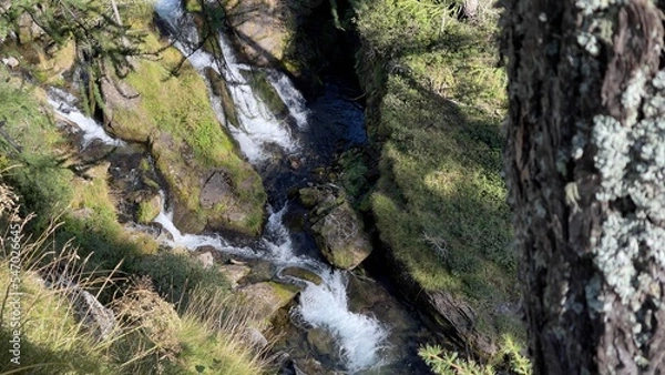 Fototapeta moss covered rocks