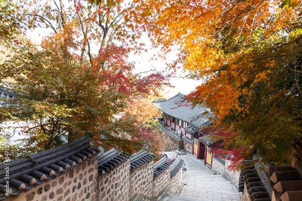 Fototapeta autumn in the temple