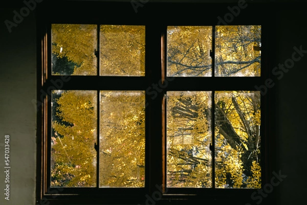 Fototapeta 日本の学校の窓  Japanese school window