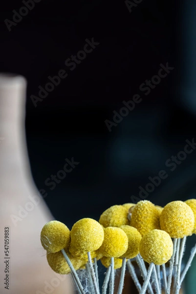 Fototapeta Vase clay with dried flowers and moving shadows on beige background casting shadows .