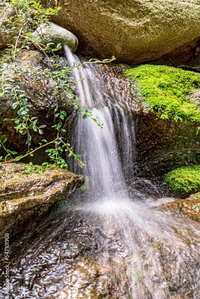 Obraz waterfall in the forest
