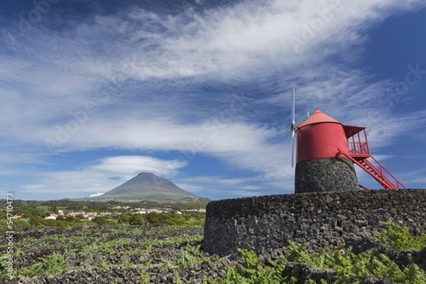 Fototapeta Windmühle auf der Insel Pico