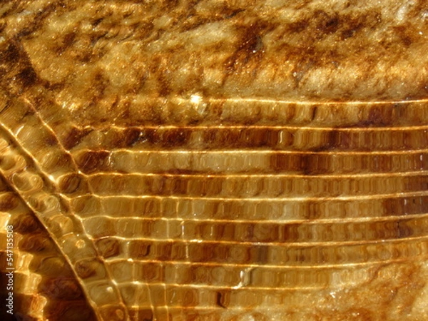 Obraz wavy background