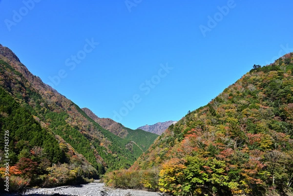 Obraz 青空と紅葉が始まった山々