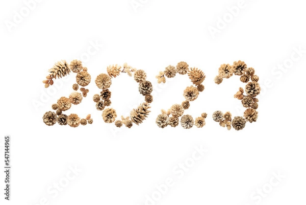 Obraz 2023 png 背景透明