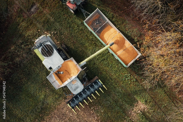 Fototapeta aerial view of a harvester unloading the corn into the trailer, effective harvest