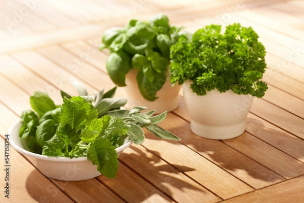 Fototapeta fresh herbs 