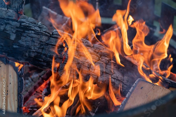 Obraz A beautiful bonfire is burning in the fire.