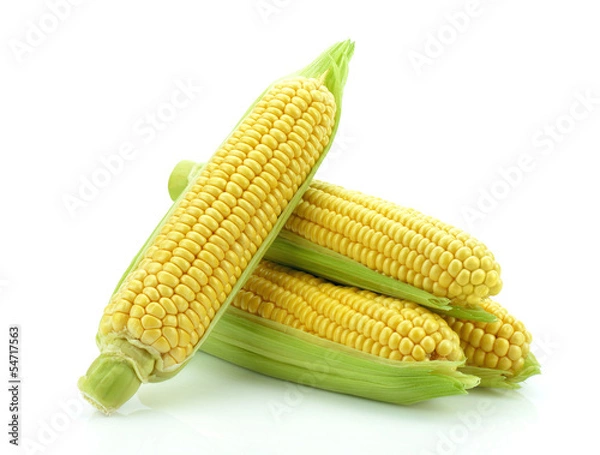 Obraz Kukurydza na białym tle