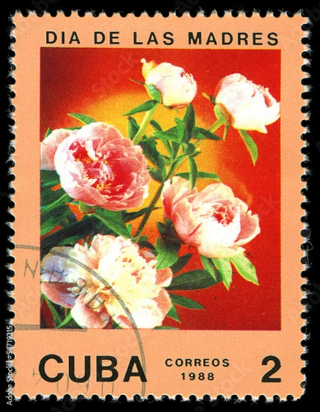 Fototapeta CUBA - CIRCA 1988 divided to Mother's Day and shows  rose