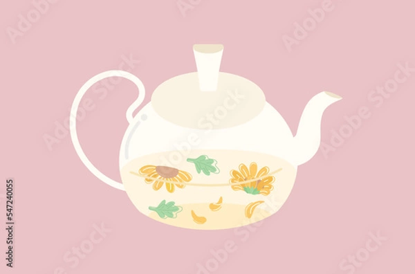 Fototapeta Chrysanthemum herbal tea in pot vector, flat design of organic flowers in teapot vector, flat design of vintage teapot vector, natural yellow chrysanthemum flowers vector, organic beverage teapot.