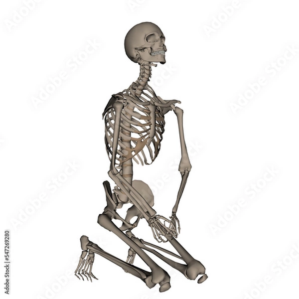 Obraz Human skeleton praying on his knees - 3D render