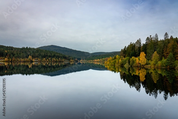 Obraz Tree line on the shore of a lake with reflections in the water