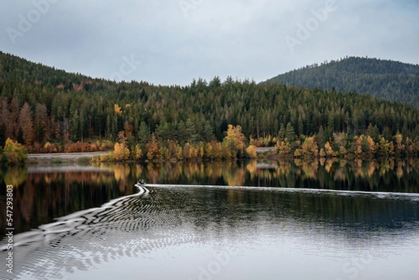 Obraz Trees on the shore of a lake with reflections and a boat with trailing ripples