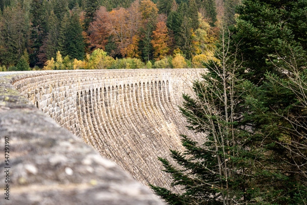 Obraz View of the top of a dam with the curvature in the black forest
