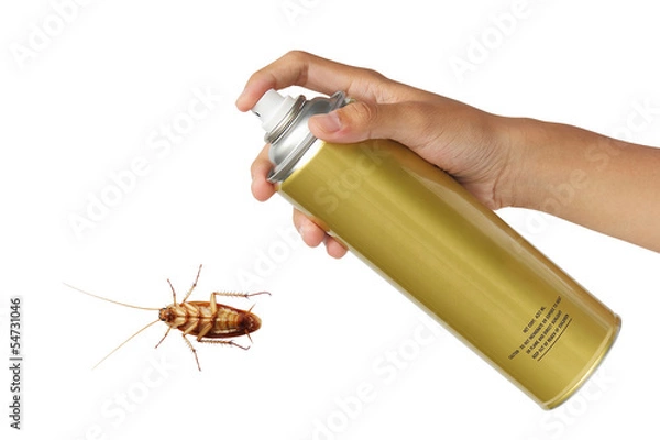 Obraz Cockroach spray with spray cans isolated over white background