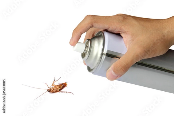 Obraz Cockroach spray with spray cans over white background