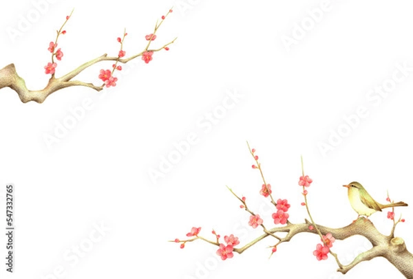 Obraz 紅梅の枝に止まるうぐいすの背景　横　手描き色鉛筆画