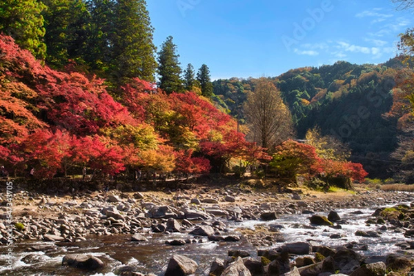 Fototapeta Colorful autumn leaves and river of Korankei. Korankei is a valley near Nagoya reputed to be one of the best spots for autumn leaves in Japan.