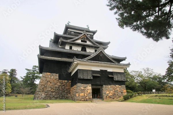 Fototapeta 松江城（島根県・松江市）