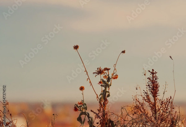 Fototapeta Berlin Vibes