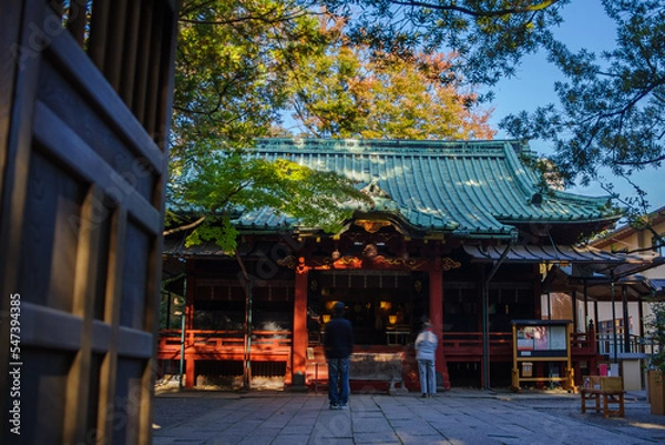 Obraz 紅葉が鮮やかな赤坂氷川神社の境内