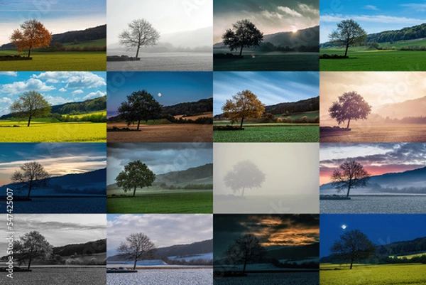 Fototapeta 4 x 4 Matryca: drzewo przez pory roku przez kilka lat kolaż z 16 scenami