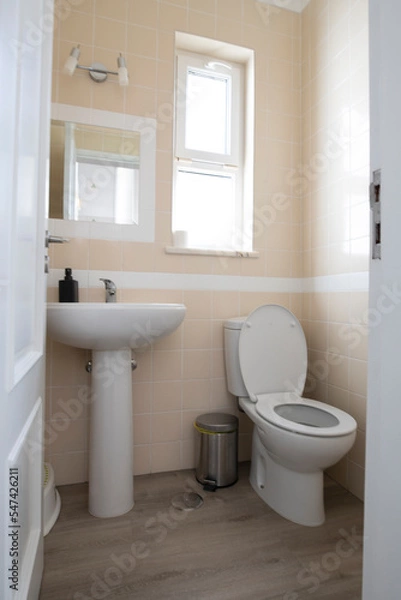 Fototapeta Looking through the door into a small cloakroom with toilet and sink