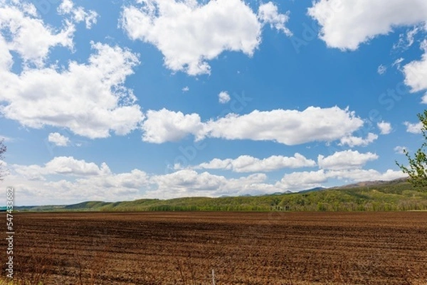 Fototapeta 北海道帯広