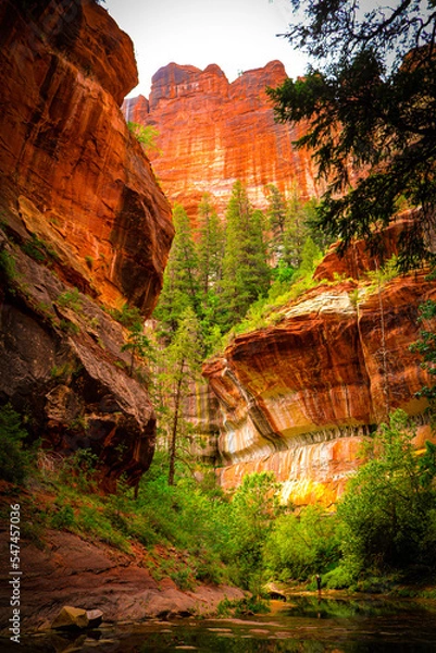 Obraz Towering Canyon Walls