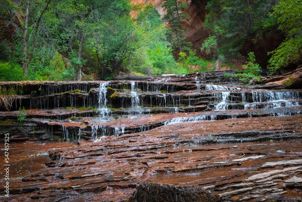 Obraz Cascading Waterfall in the Forest