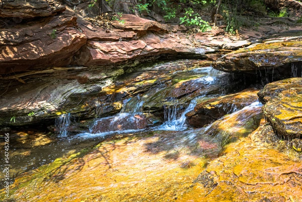 Obraz Stream in the Forest