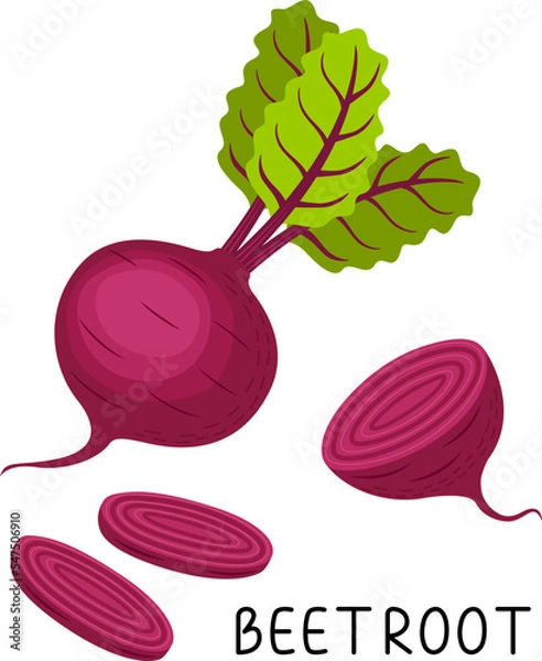 Fototapeta Set of ripe beets, halves, slices and leaves. Vector illustration in flat style isolated on white background.